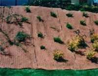 PLANTEX COCOMAT