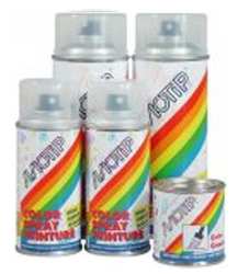 COULEUR DÉCORATIVE VERNIS - SPRAY