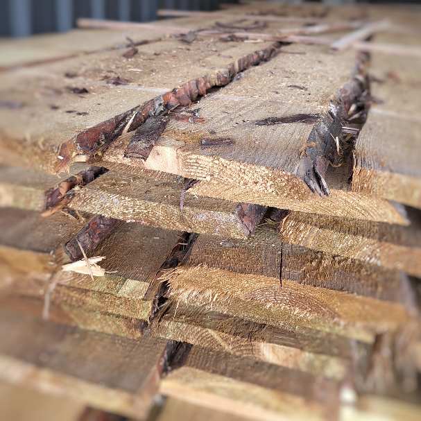 PLANCHE SAPIN BARDAGE ECORCE