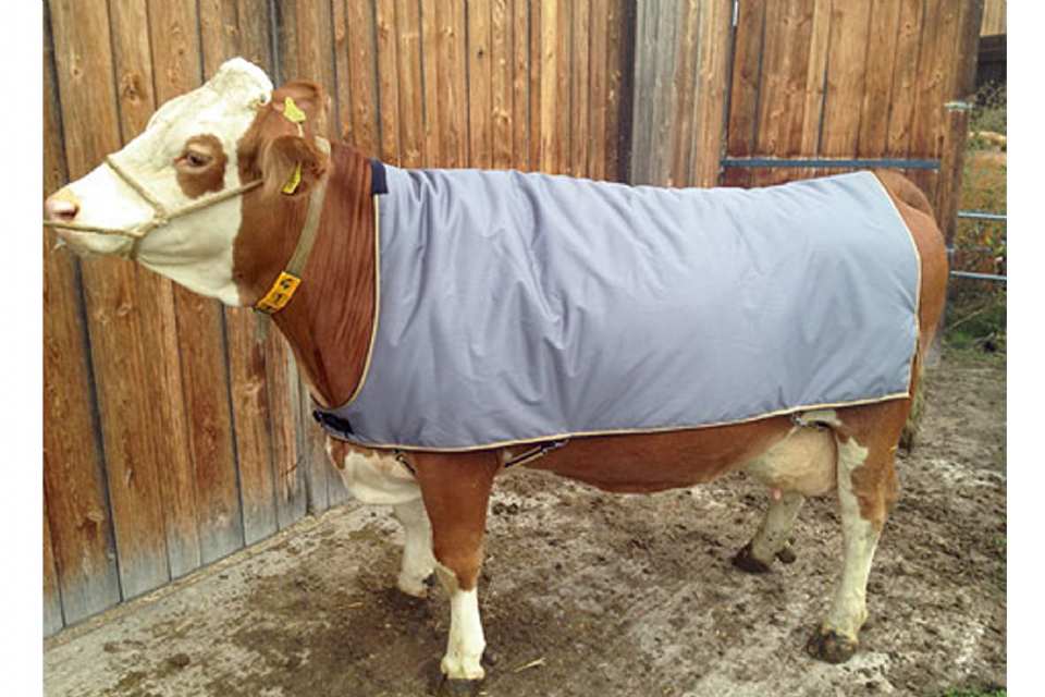 COUVERTURE POUR VACHE THERMOPLUS