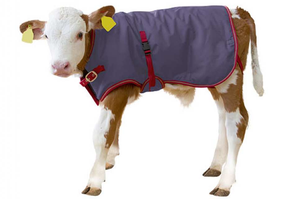 COUVERTURE POUR VEAU THERMOPLUS