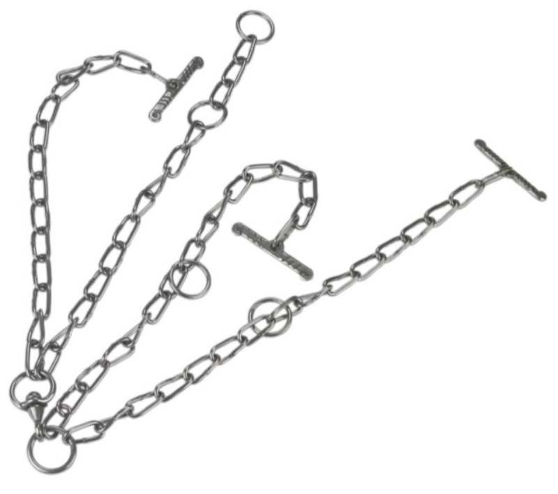LIEN 4 BRANCHES