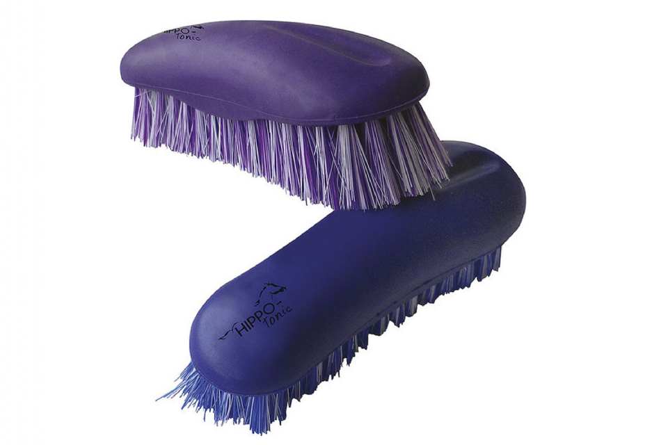 BROSSE HIPPO-TONIC ANATOMIC