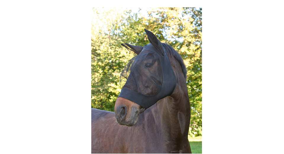 CHASSE MOUCHE MASQUE