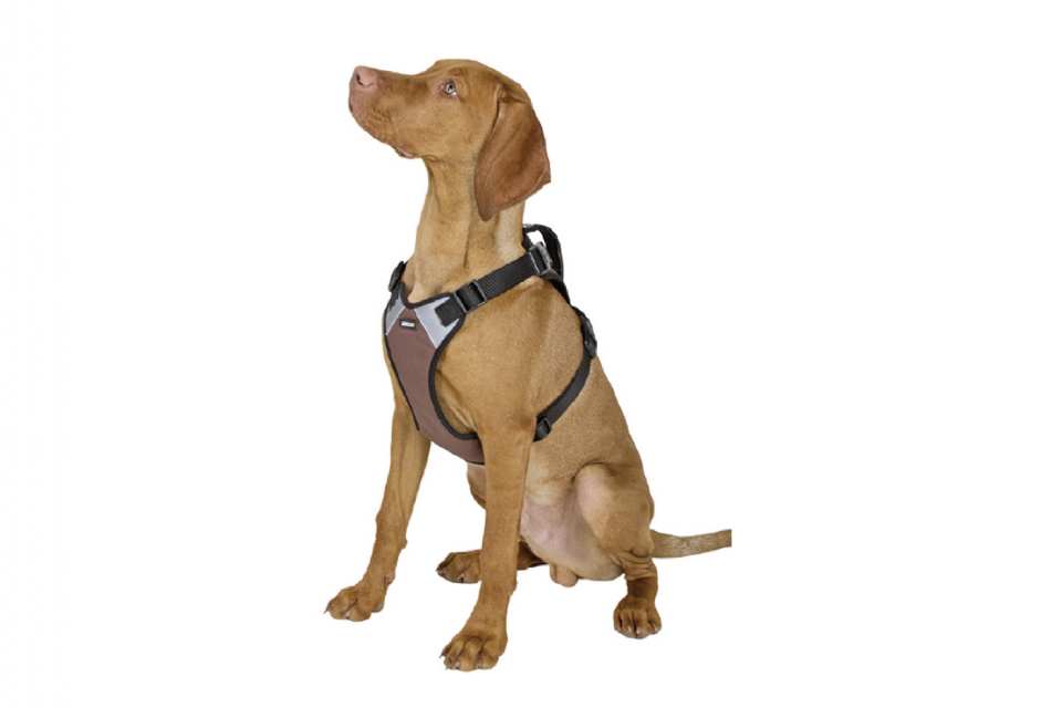 HARNAIS POUR CHIEN PULSIVE