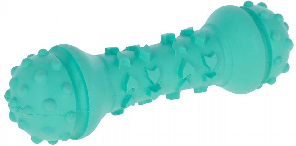 JOUET POUR CHIEN HALTERE TOYFASTIC