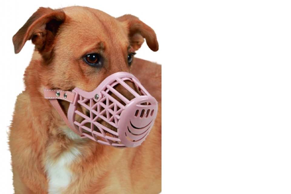 MUSELIÈRE EN PVC POUR CHIEN