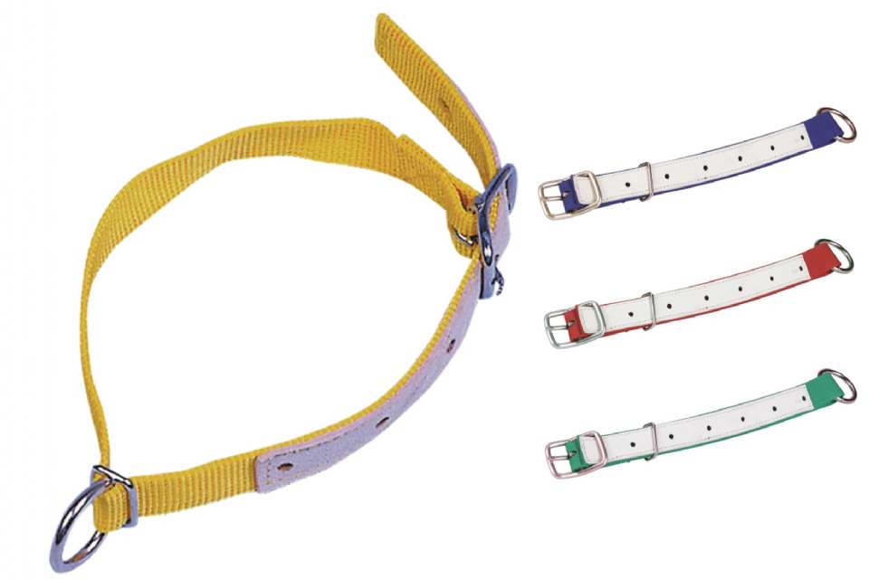 COLLIER POUR OVINS EN NYLON