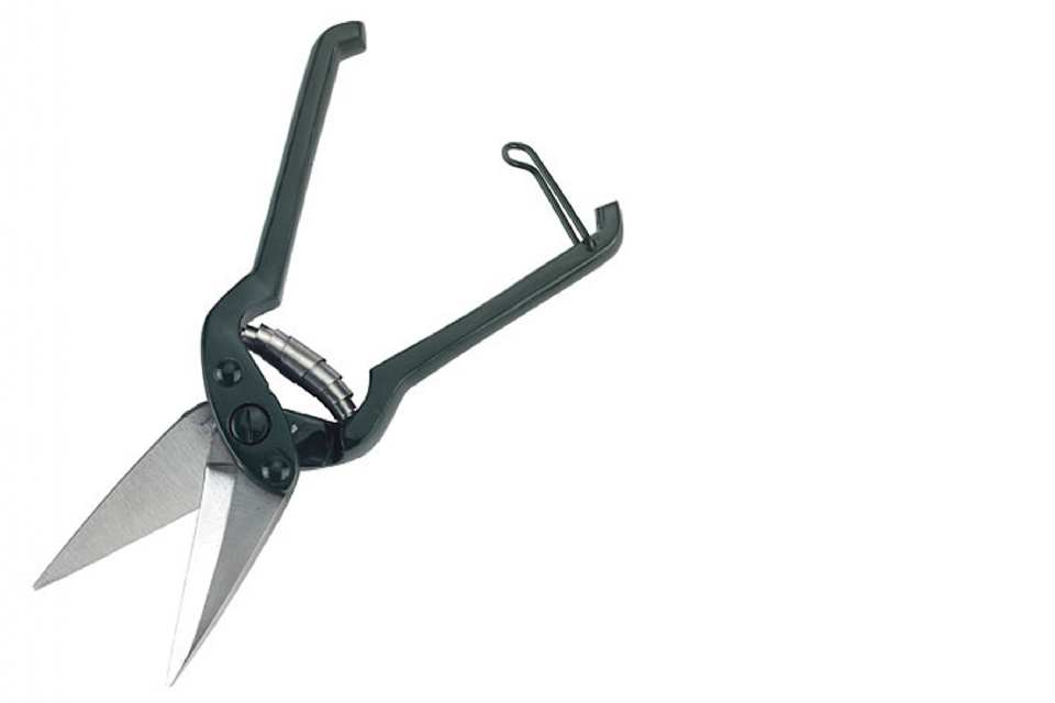 COUPE ONGLONS MOUTON CRANTÉ