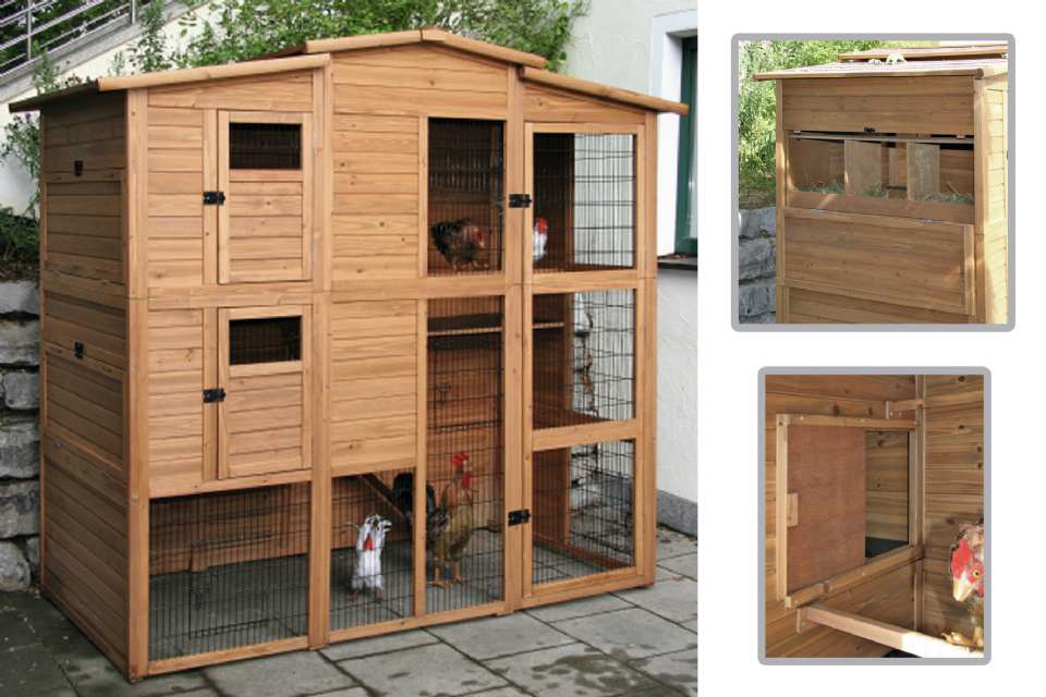 POULAILLER EN BOIS