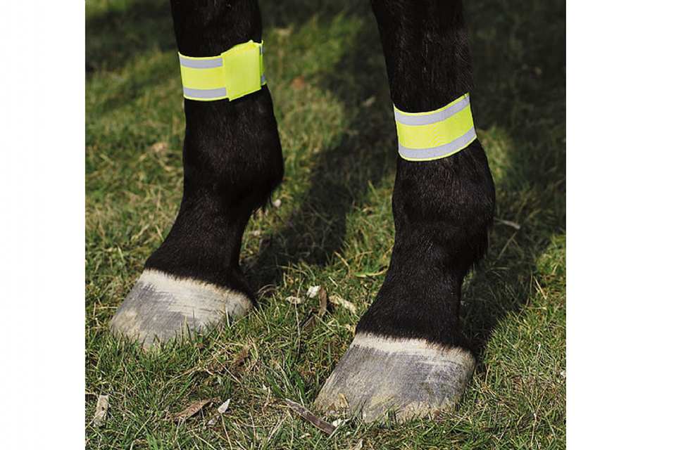 BANDAGE CHEVAL JAUNE