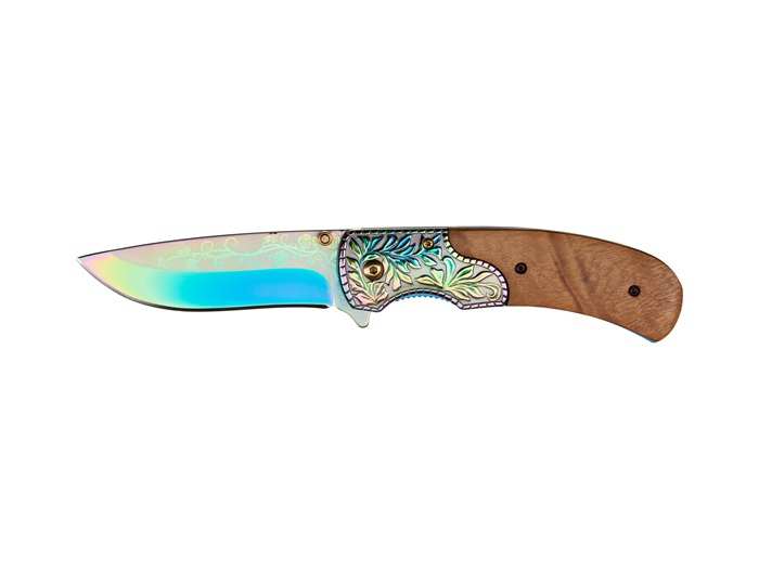 CANIF HOMEIJ 51H570-21
