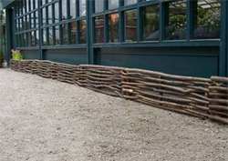 BORDURE NOISETIER TRESSÉ HORIZONTAL