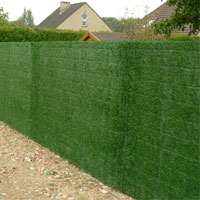 CLAIE FENSOGREEN