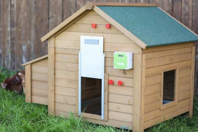PORTIQUE AUTOMATIQUE + PORTE POULE KERBL