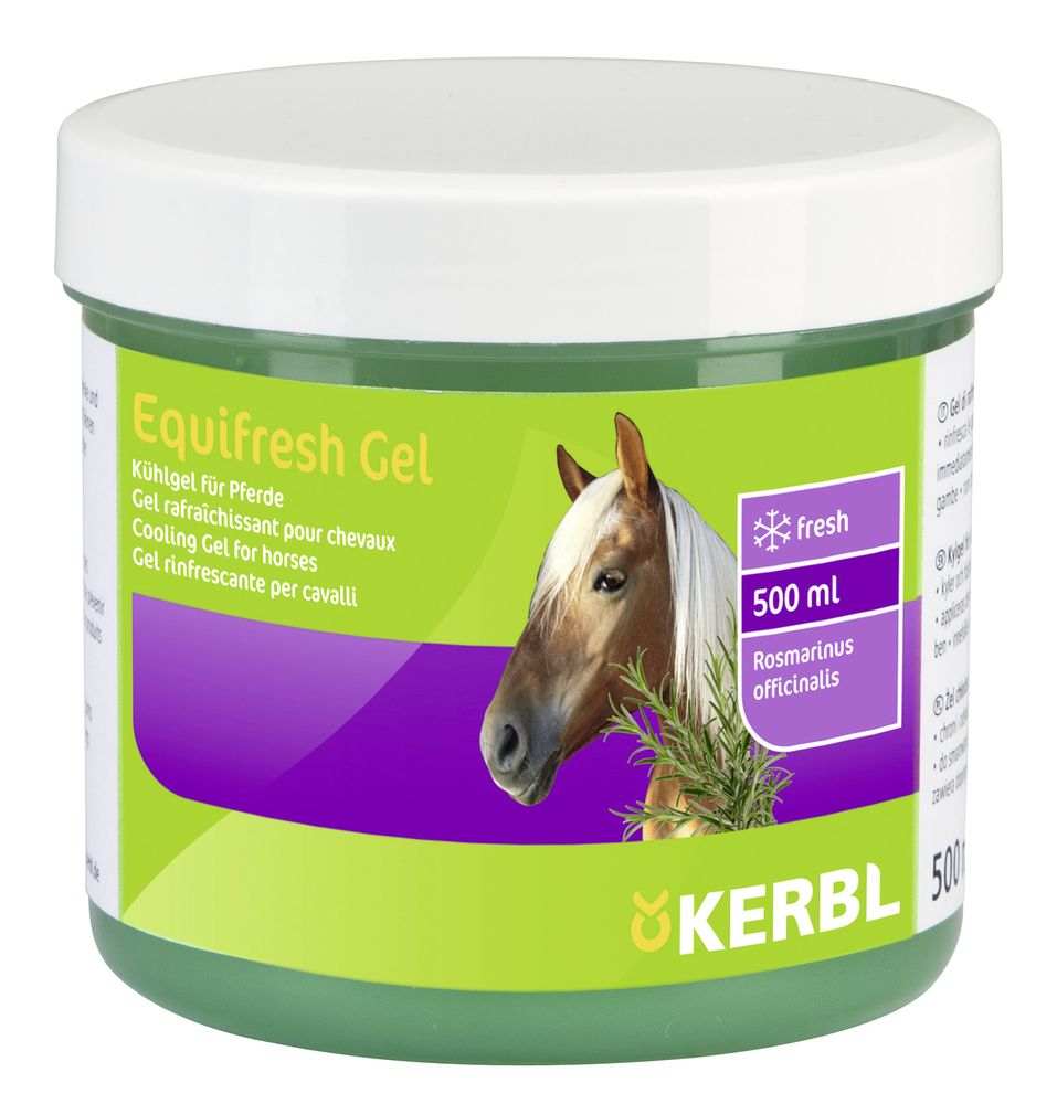 GEL RAFRAICHISSANT EQUIFRESH 500ML