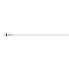 AMPOULE LED T8 G13