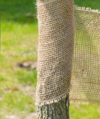 PROTECTION TRONC D'ARBRE TOILE DE JUTE