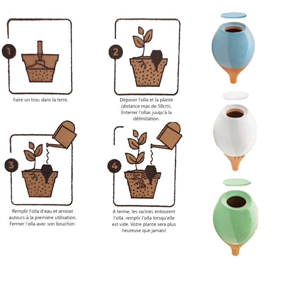 OLLA A PLANTER ORIGINAL INTERIEUR
