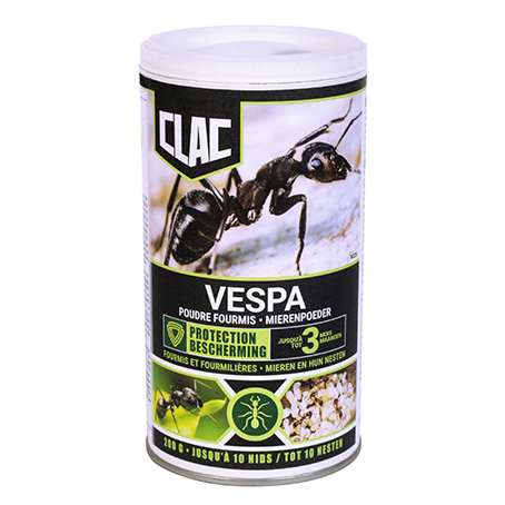 INSECTICIDE EN POURDRE POUR FOURMIS
