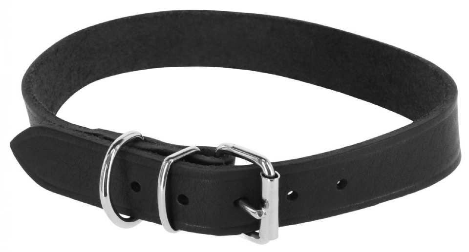 COLLIER CHIEN CUIR TOSCANE