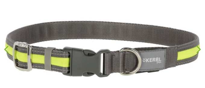 COLLIER CHIEN LIGHT REFLEX