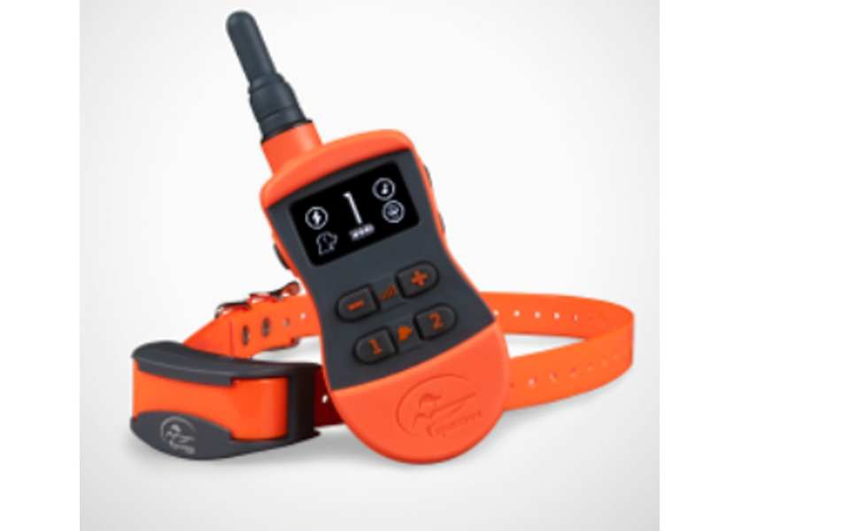 COLLIER DRESSAGE SD575E - 575M - SPORTDOG