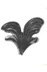 FEUILLE N° 46