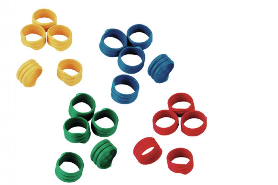 BAGUE D'IDENTIFICATION VOLAILLE 16MM