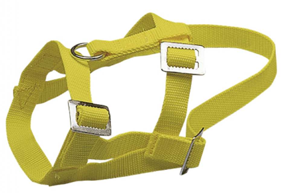 LICOL MOUTON NYLON