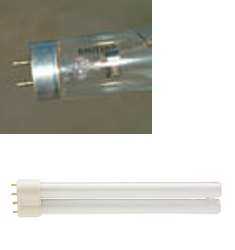 AMPOULE UV